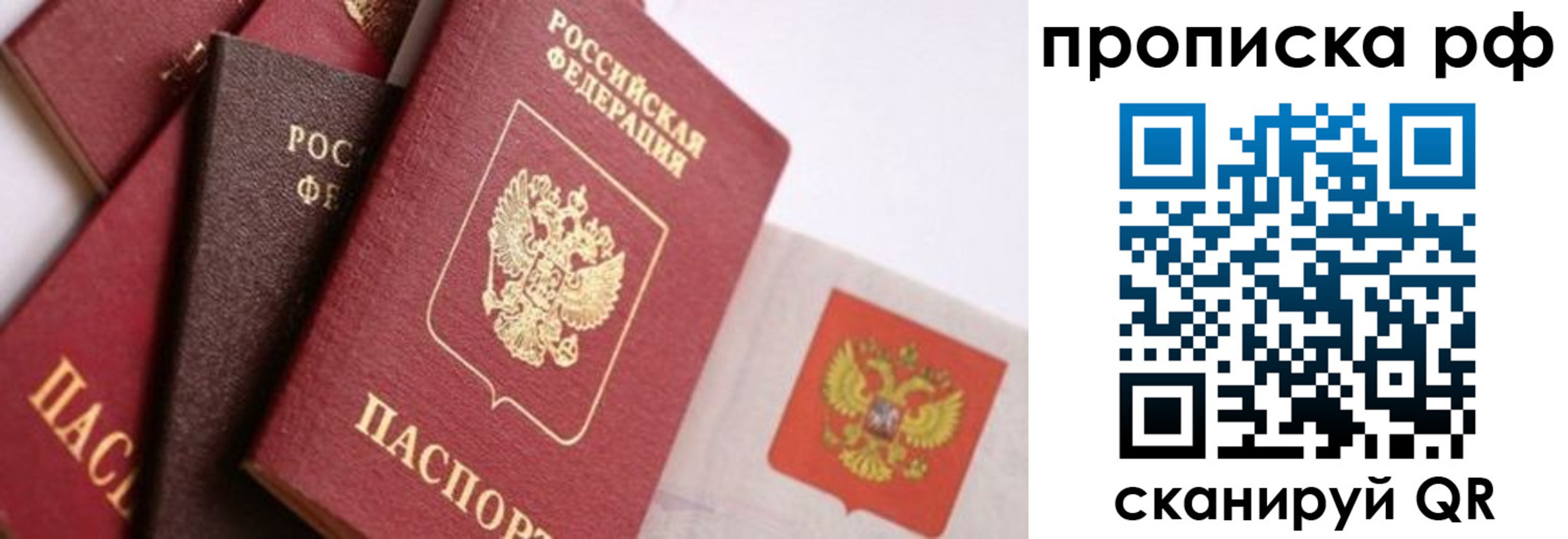 прописка ребенка в Мурино